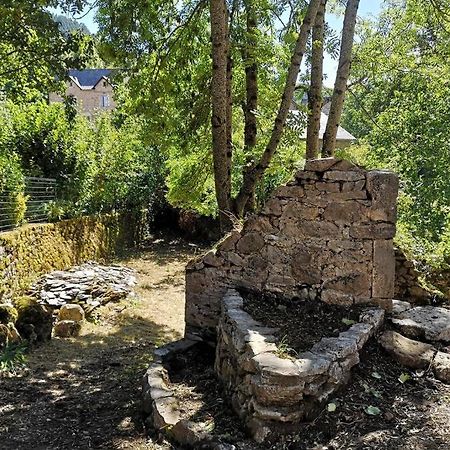 Maison Traditionnelle En Lozere Saint-Saturnin  Dış mekan fotoğraf