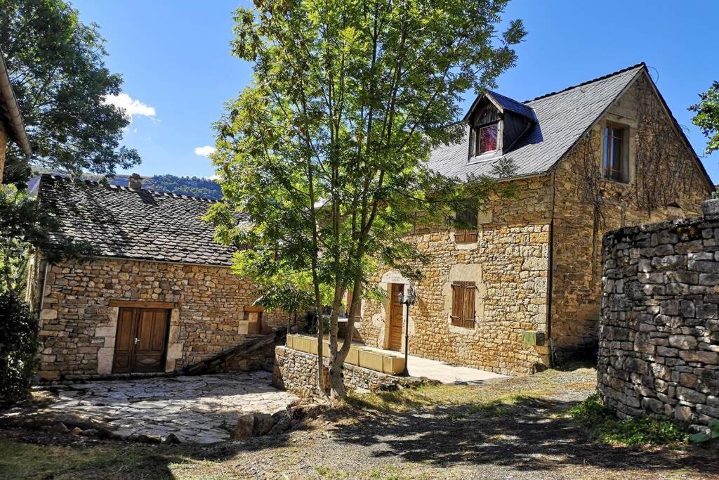 Maison Traditionnelle En Lozere Saint-Saturnin  Dış mekan fotoğraf